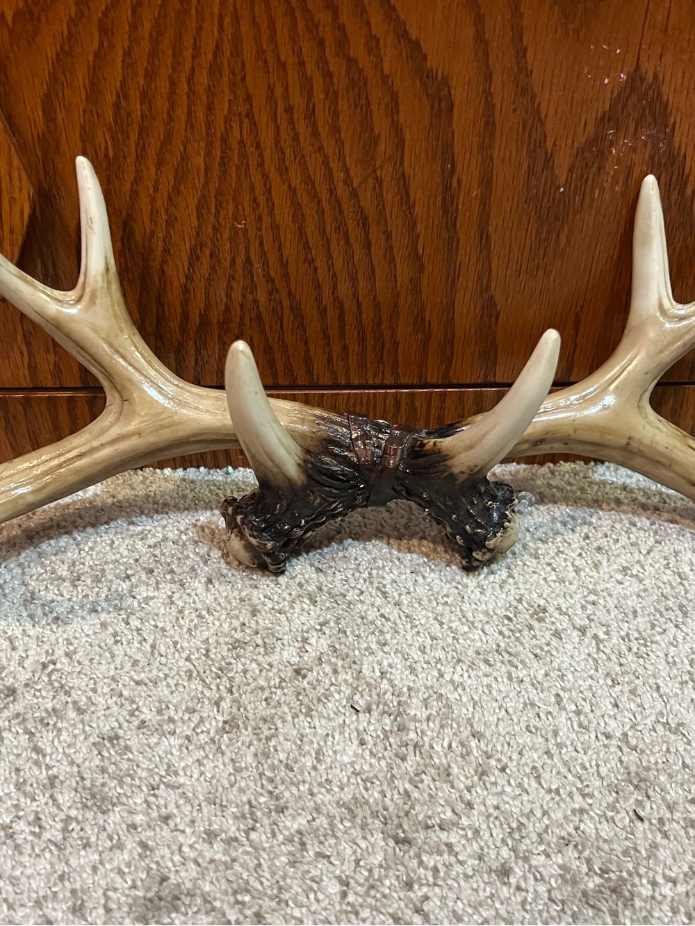 Decorative Faux Antler Accent in Cream and Brown - Unbranded